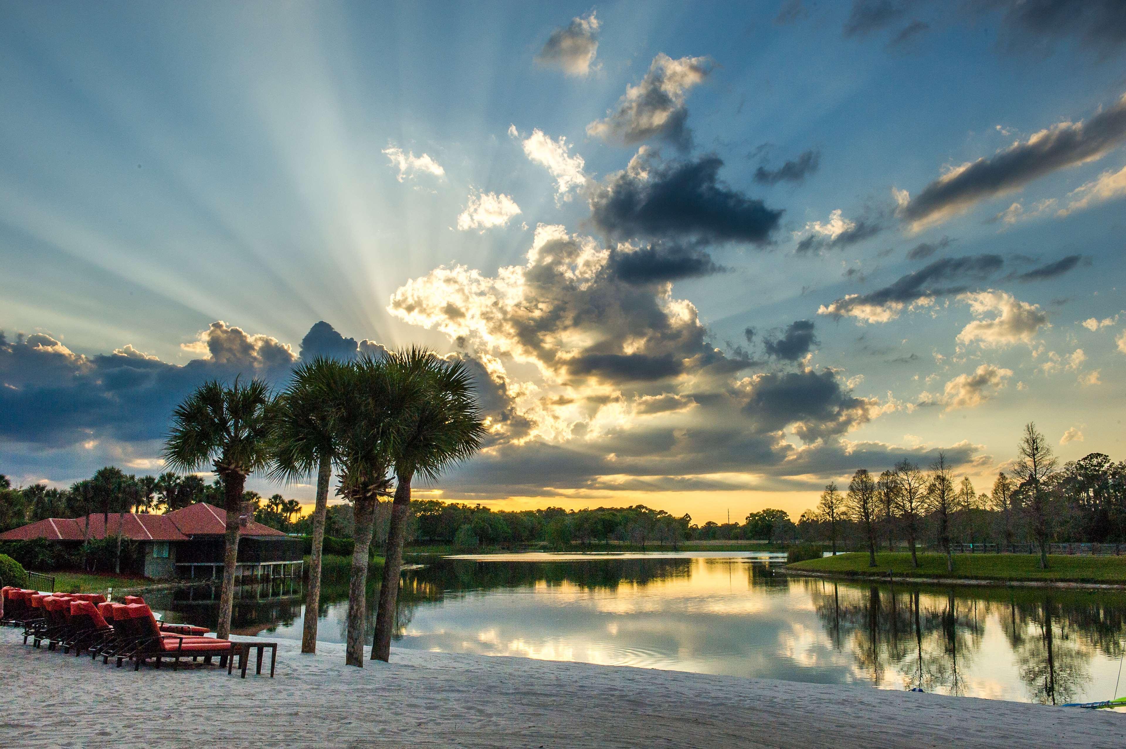 Hyatt Regency Grand Cypress Resort Orlando Dış mekan fotoğraf