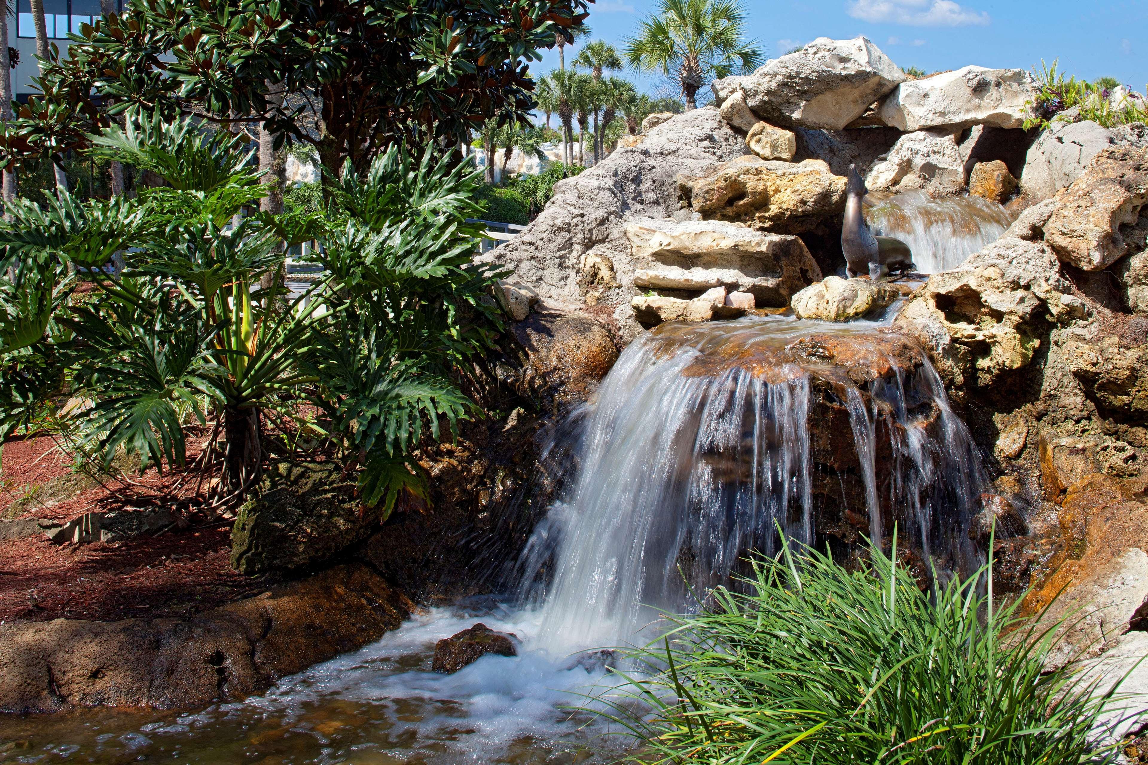 Hyatt Regency Grand Cypress Resort Orlando Dış mekan fotoğraf