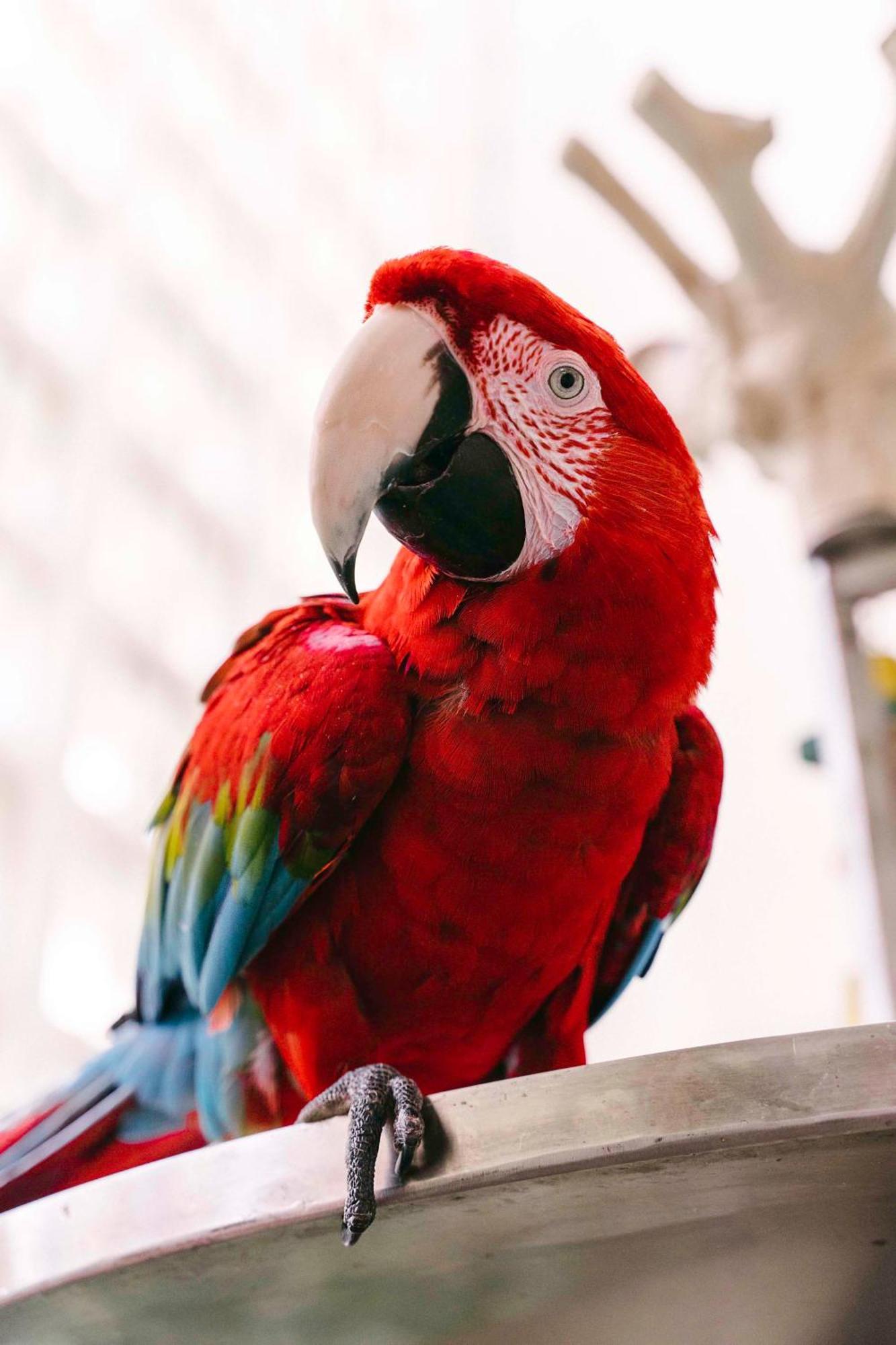 Hyatt Regency Grand Cypress Resort Orlando Dış mekan fotoğraf